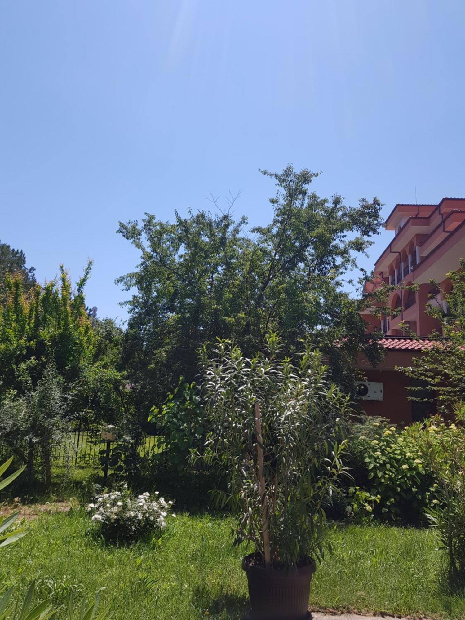 Family Hotel Magnolia Sluneční pobřeží Exteriér fotografie